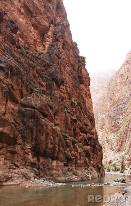 Tableau  Rivière dans la vallée du canyon