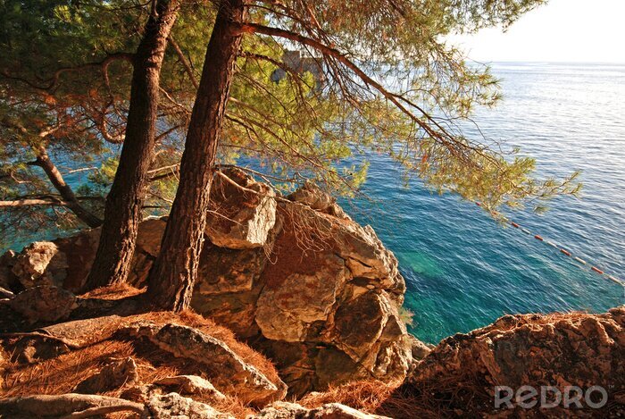 Tableau  Rochers avec arbres au-dessus de l'eau