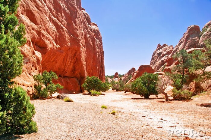 Tableau  Roches du canyon