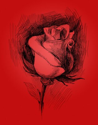 Rose noire sur fond rouge