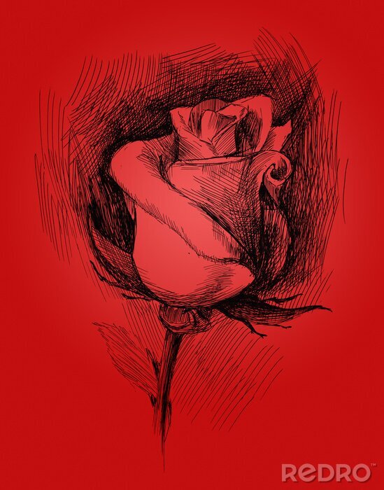 Tableau  Rose noire sur fond rouge