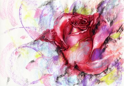 Tableau  Rose peinte sur fond coloré