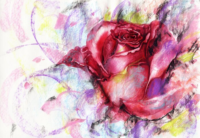 Tableau  Rose peinte sur fond coloré