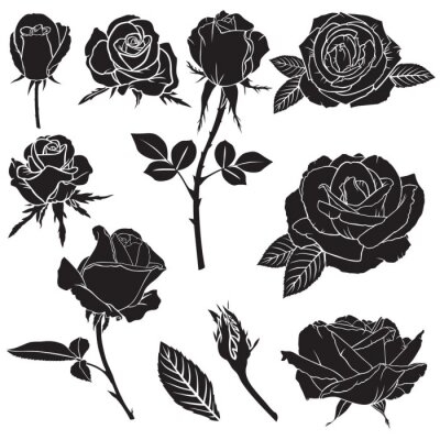 Tableau  Roses noires sur fond blanc
