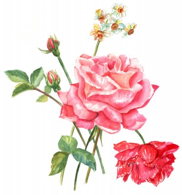 Tableau  Roses rouges peintes à l'aquarelle