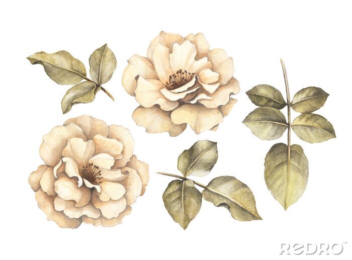 Tableau  Roses subtiles avec des feuilles