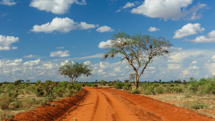 Tableau  Rote Erde à Tsavo, Kenya