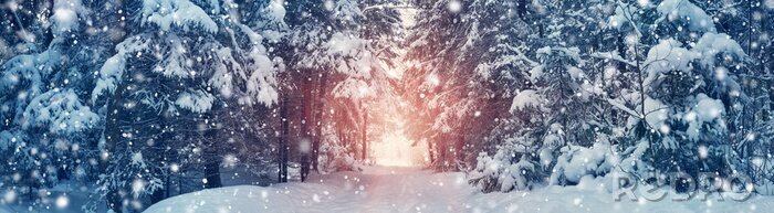 Tableau  Route d'hiver à travers une forêt dense