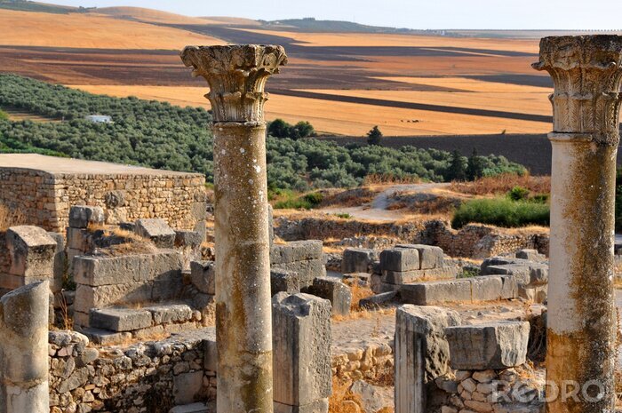Tableau  Rovine romane une Volubilis - Maroc
