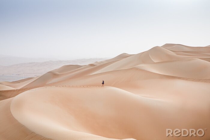 Tableau  Rub al Khali Desert au quartier vide, à Abu Dhabi, Emirats Arabes Unis