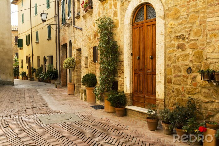 Tableau  Rue italienne et végétation