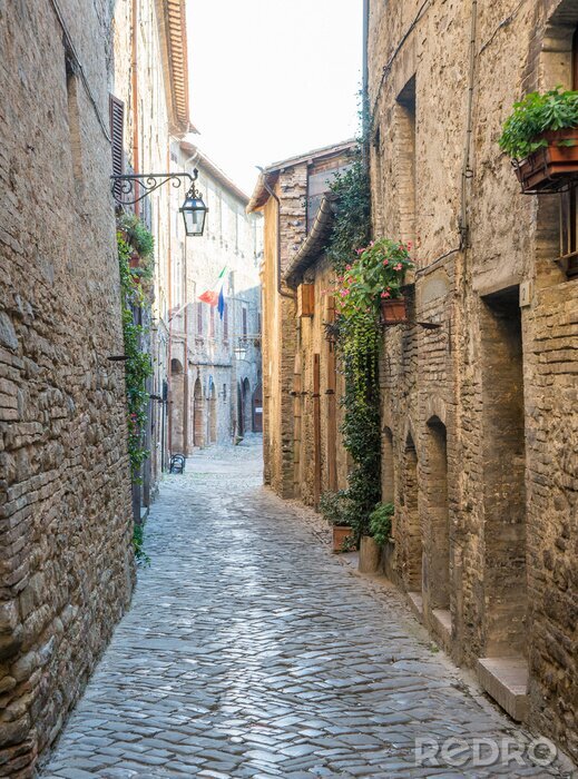 Tableau  Ruelle aux fenêtres fleuries