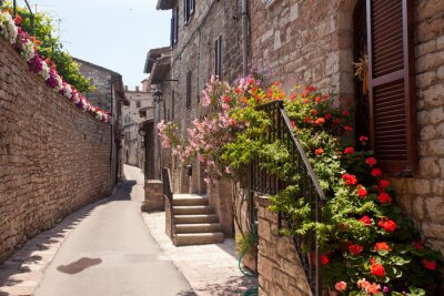 Ruelle et bouquets de fleurs