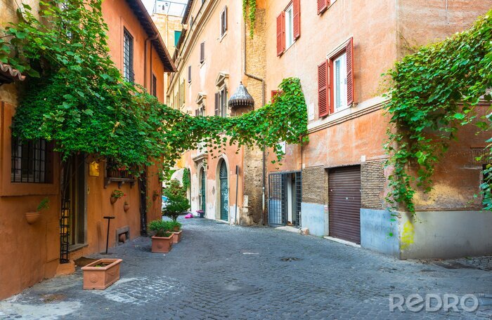 Tableau  Ruelle et plantes Rome