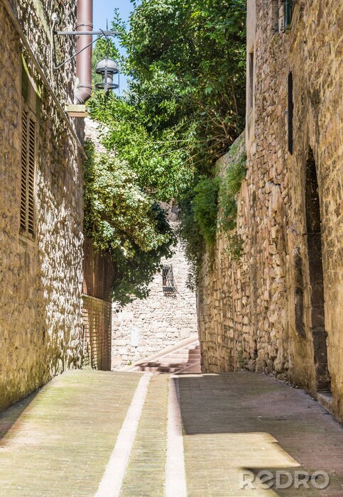Tableau  Ruelle et remparts historiques
