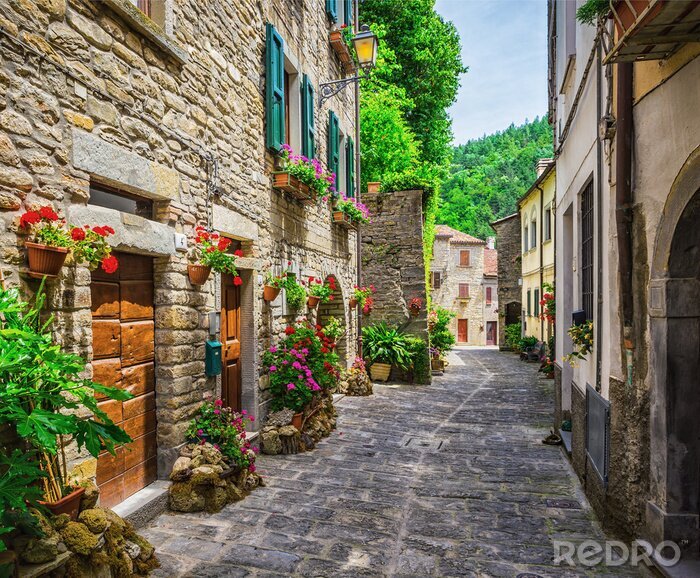 Tableau  Ruelle italienne colorée