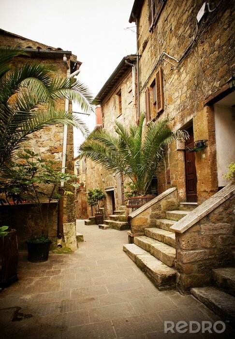 Tableau  Ruelle italienne et feuilles de palmier