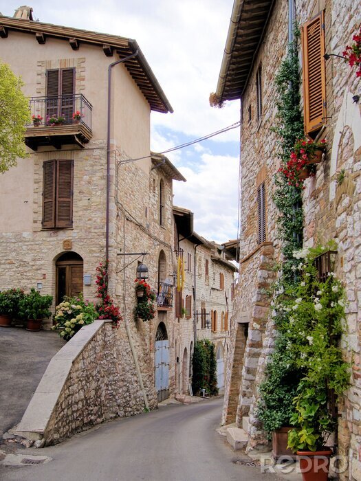 Tableau  Ruelle magique et maisons en pierre