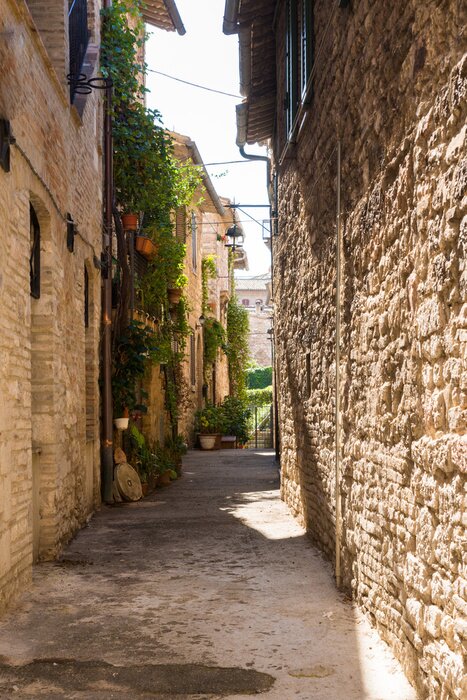 Tableau  Ruelle ombragée déserte