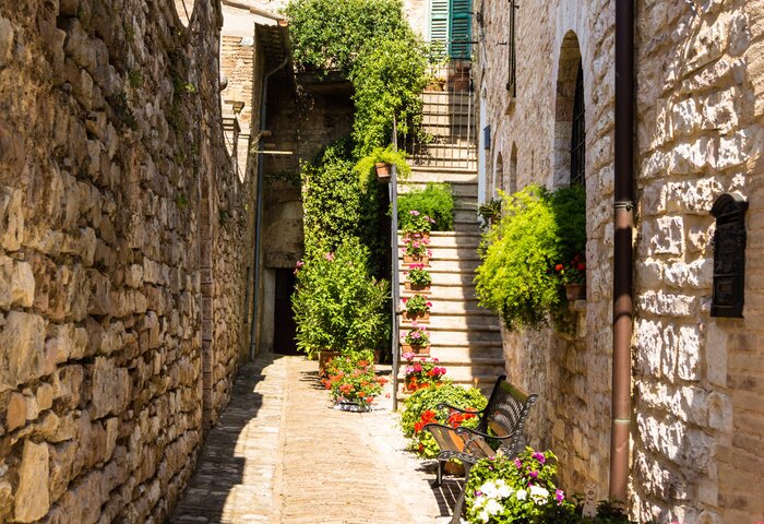 Tableau  Ruelle ravissante et végétation