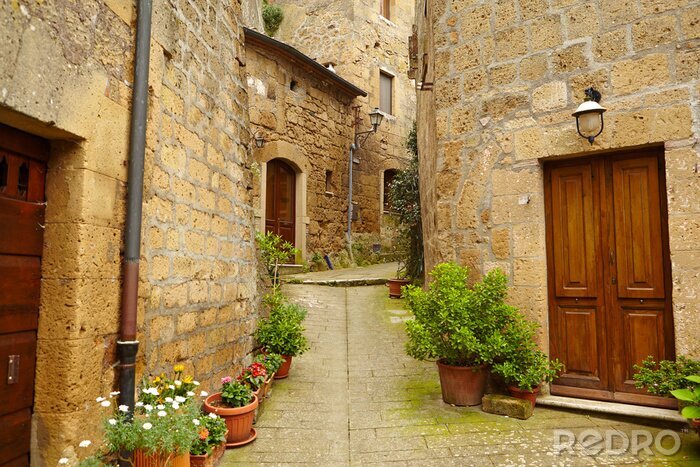 Tableau  Ruelle tortueuse et plantes