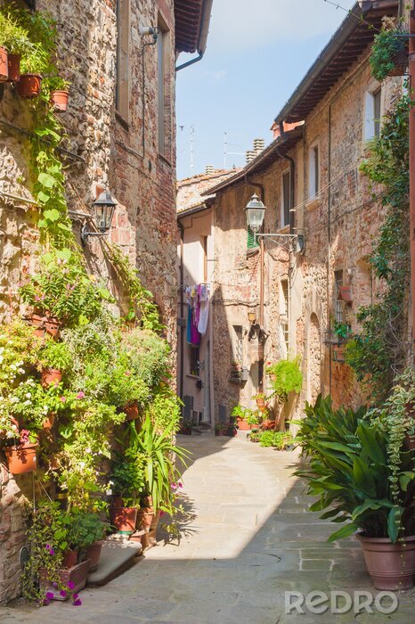 Tableau  Ruelle toruteuse Italie