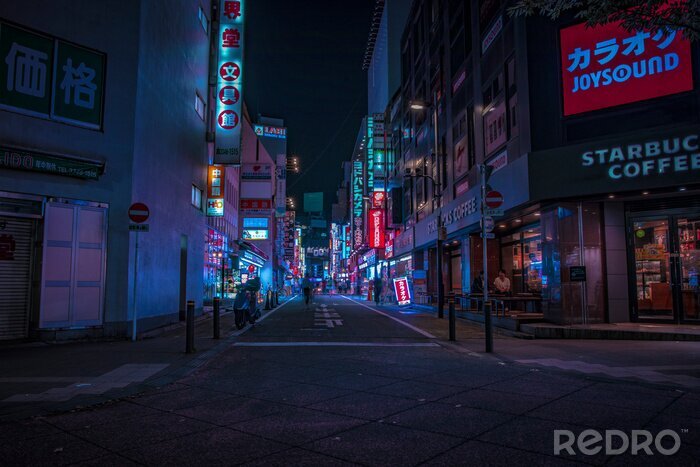 Tableau  Rues de Tokyo la nuit