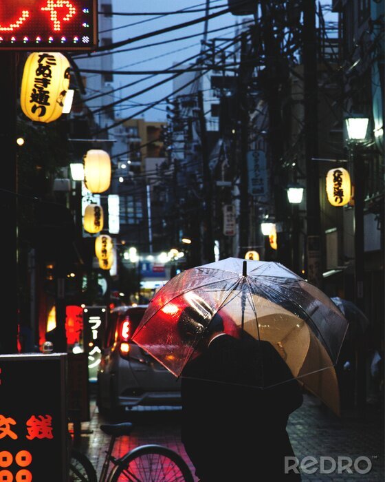 Tableau  Rues pluvieuses de Tokyo