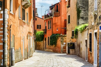 Rues traditionnelles avec des maisons à Venise