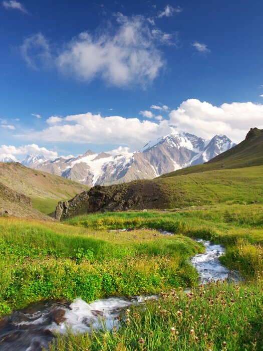 Tableau  Ruisseau de montagne et prairie