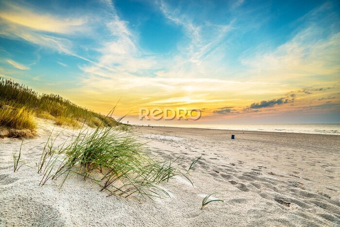 Tableau  Sable, dunes, contre, Coucher soleil, lumière, plage, nord, Pologne