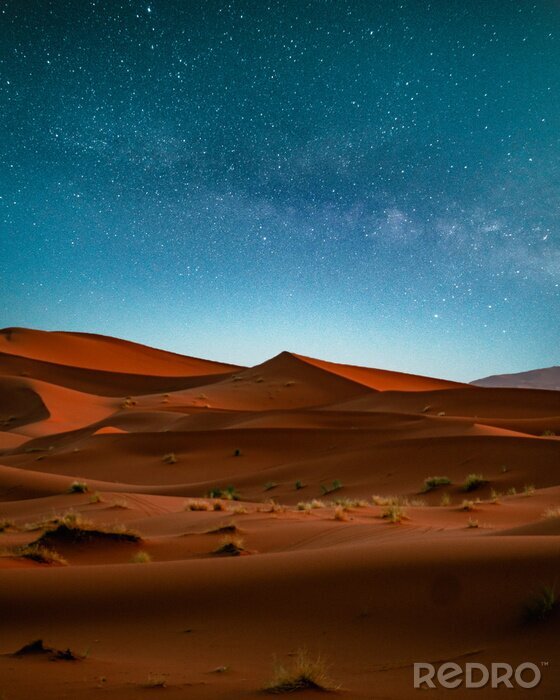 Tableau  Sahara desert