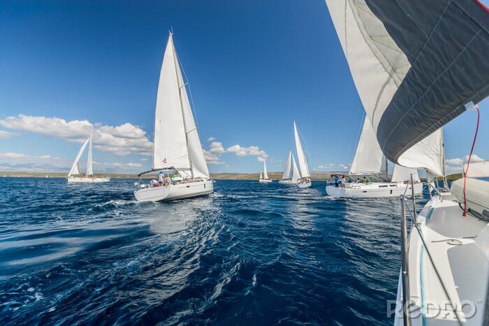 Tableau  Sailing regatta yachts competition