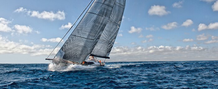 Tableau  Sailing yacht regatta. Yachting. Sailing race	
