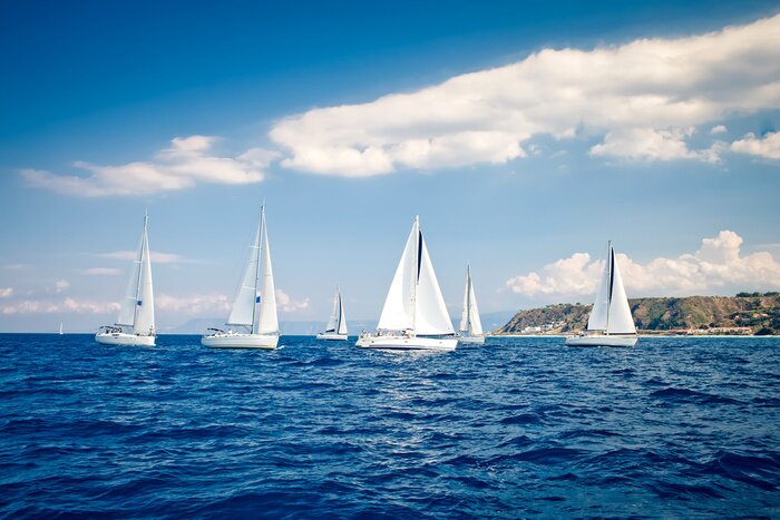 Tableau  Sailing yachts bateau avec des voiles blancs