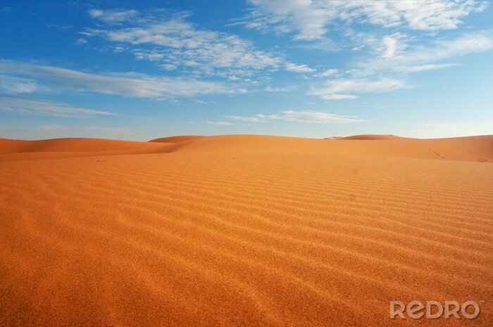 Tableau   sand dune in the sahara desert 