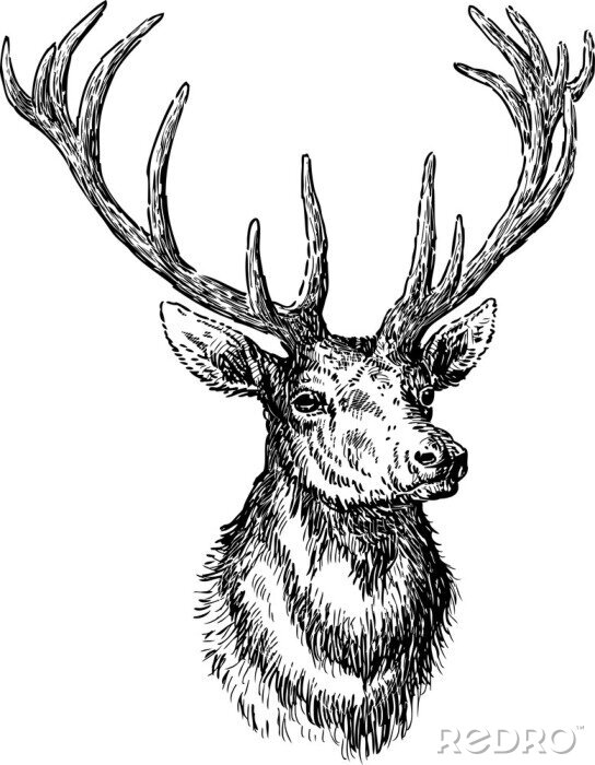 Tableau  Scandinave noir et blanc cerf style