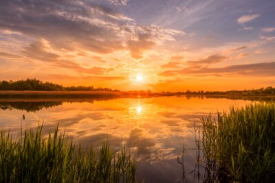 Tableau  Scenic view of beautiful sunrise or dawn above the pond or lake at spring or early summer morning with cloudy sky background, fog over water and reed grass with dew at foreground. Landscape. Water ref