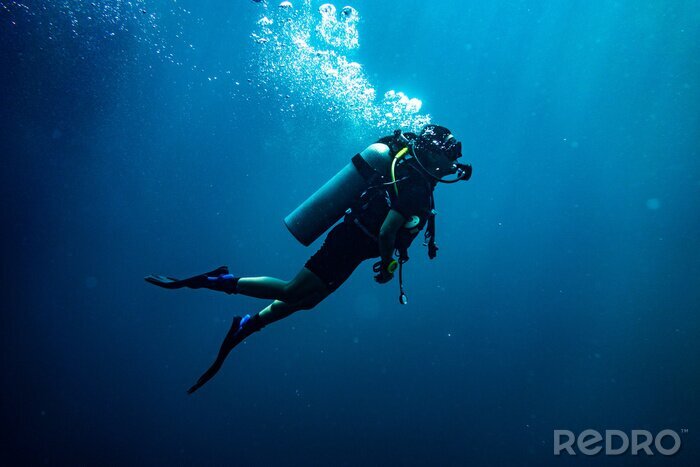 Tableau  Scuba diving