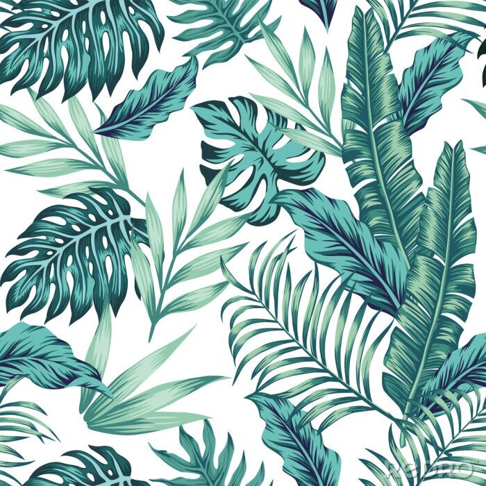 Tableau  Seamless pattern tropical composition white background