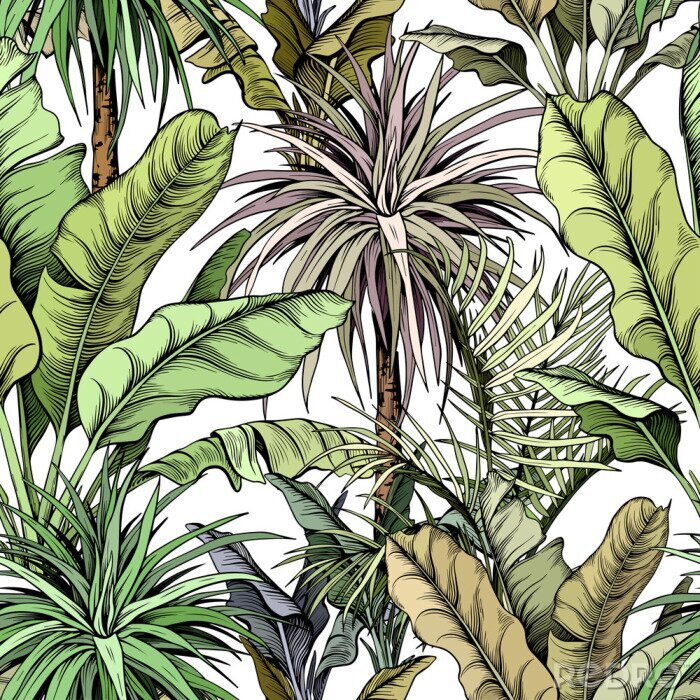 Tableau  Seamless pattern with green tropical trees. Yucca plants and large banana leaves. Hand drawn vector illustration.
