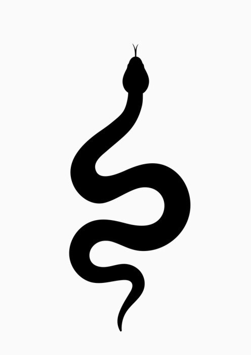 Tableau  Serpent noir sur fond blanc