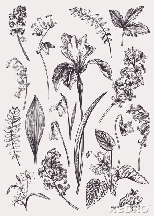 Tableau  Sertie de fleurs de printemps.