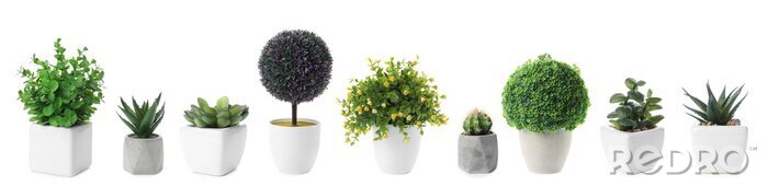 Tableau  Set of artificial plants in flower pots isolated on white. Banner design
