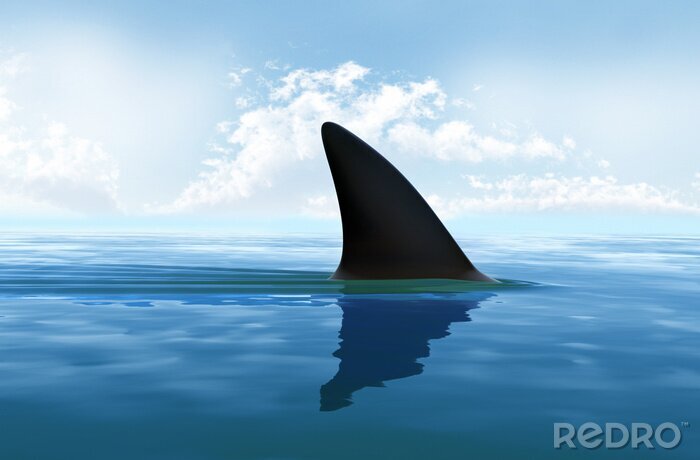 Tableau  Shark fin above water