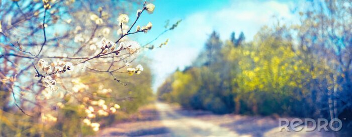 Tableau  Signes du printemps dans un paysage rural