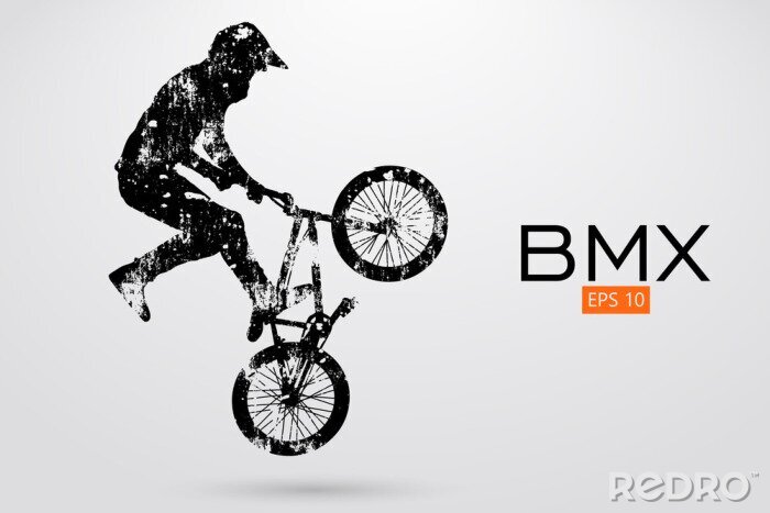 Tableau  Silhouette BMX noire