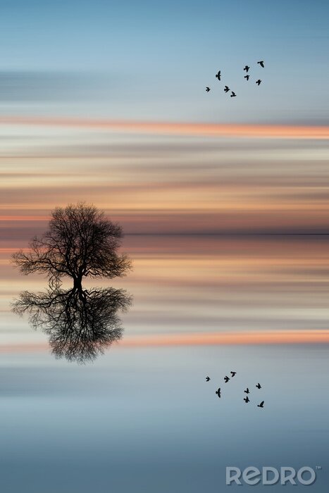 Tableau  Silhouette d'un arbre dans l'eau pendant un coucher du soleil