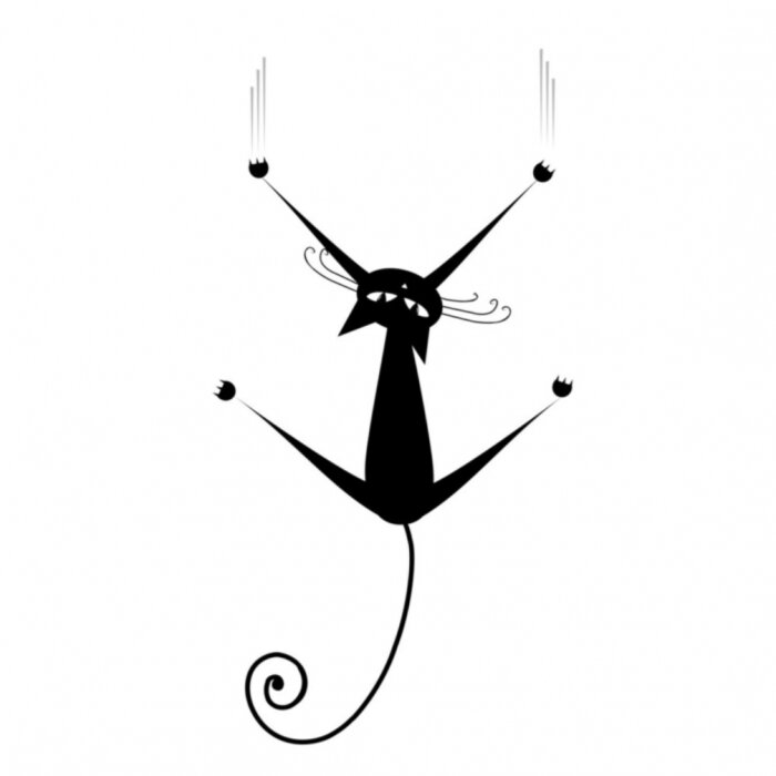 Tableau  Silhouette de chat noir pour votre conception