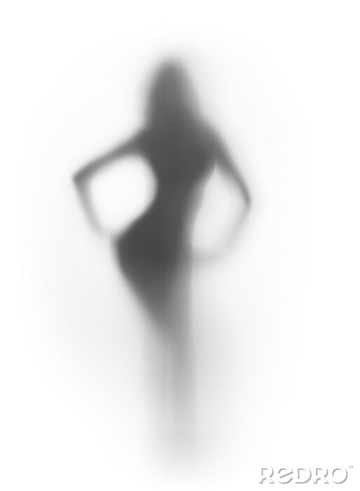 Tableau  Silhouette mystérieuse d'une femme